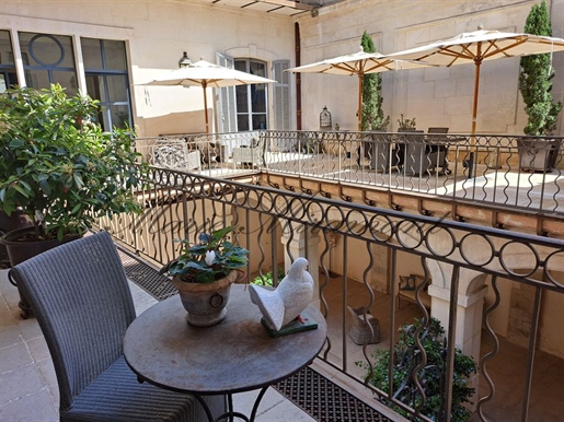 Avignon, beautiful private mansion with view on the Popes' Palace