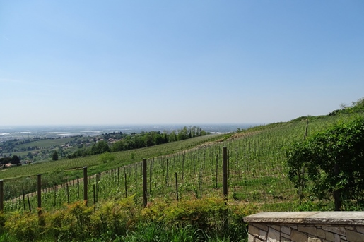 Brand New Prestigious Villas Overlooking the Vineyards