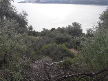 Grundstück am Meer in Chondri Ammos, Pilion