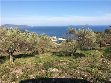 Buildable plot 8447 sqm in Alonissos