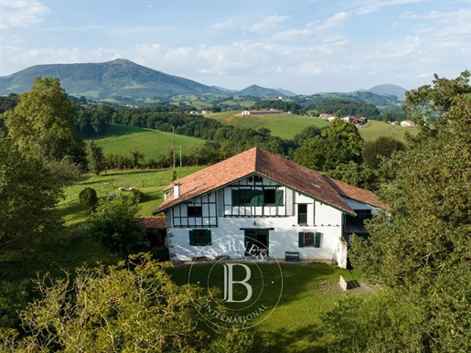 Hasparren, Magnificent Farm Of 300 M ² Entirely Renovated, Panoramic View Of The Mountains
