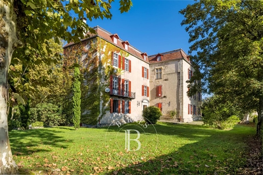 Rare Historical Chateau In The Interior Basque Country