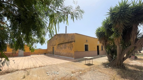 Finca in Balsicas with stables