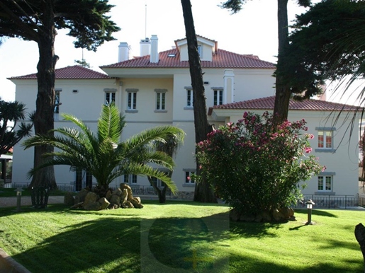 Palace of the Countess d'Edla- Spacious and exclusive villa of unique details and excellent location