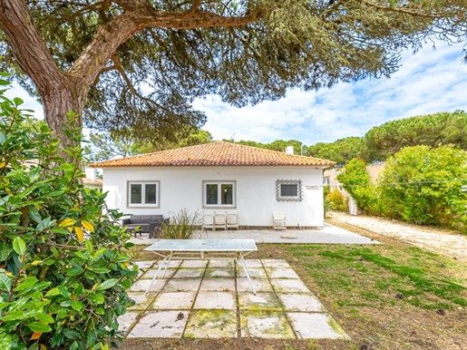 Very charming villa located in a quiet lovely area, near local beaches
