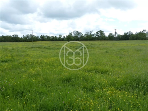 Very Nice Group Of Agricultural Land Of Approximately 90Ha