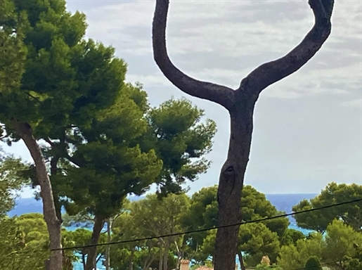 Villa im Herzen von Cap d'Antibes, Meer zu Fuß erreichbar.