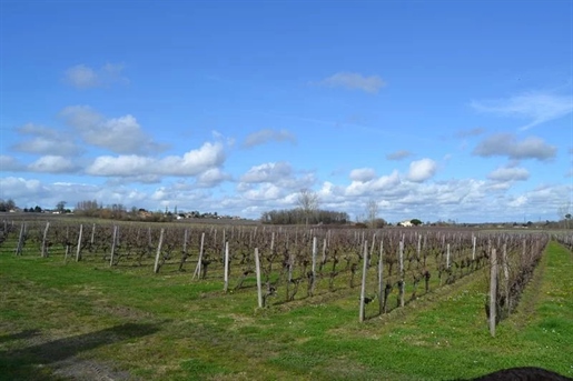Château viticole en Aoc Côtes de Bourg sur 11 hectares – Réf 1029