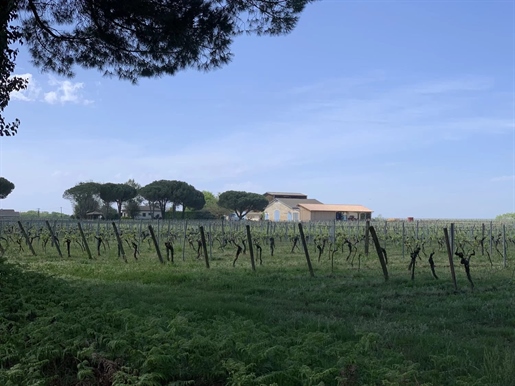 Propriété viticole de 58 hectares en Aoc Graves - Réf 1172