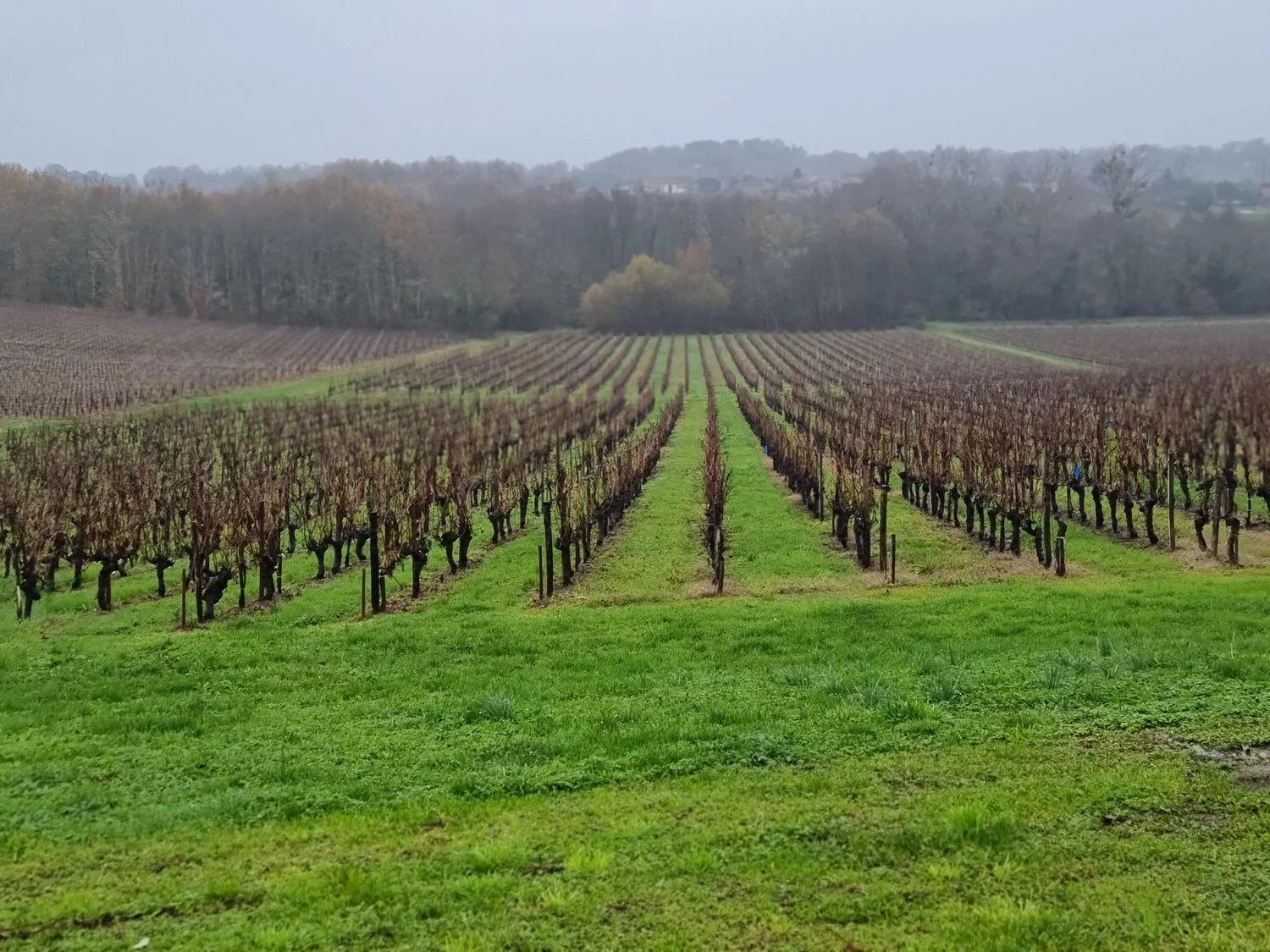 Maison à vendre, 220m², Bordeaux