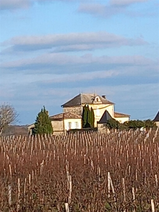 Weinschloss aus dem neunzehnten Jahrhundert in der Appellation Côtes de Bourg – Ref 1166