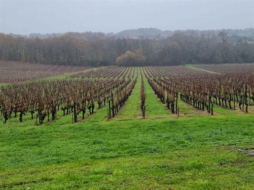 Château viticole du XIXème en appellation Côtes de Bourg – Réf 1166