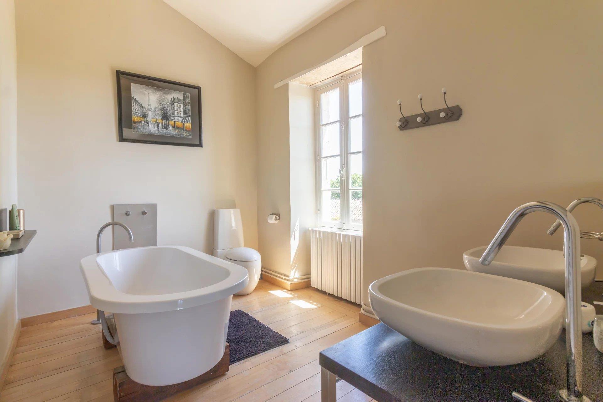 Beautiful logis with pool, guest cottage and superb vineyard views