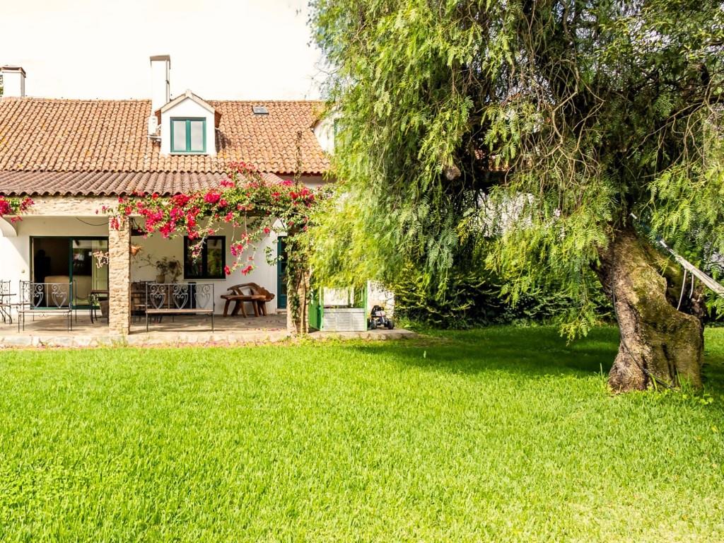 Farm 7 hectares, tourist option, Alentejo - Estremoz