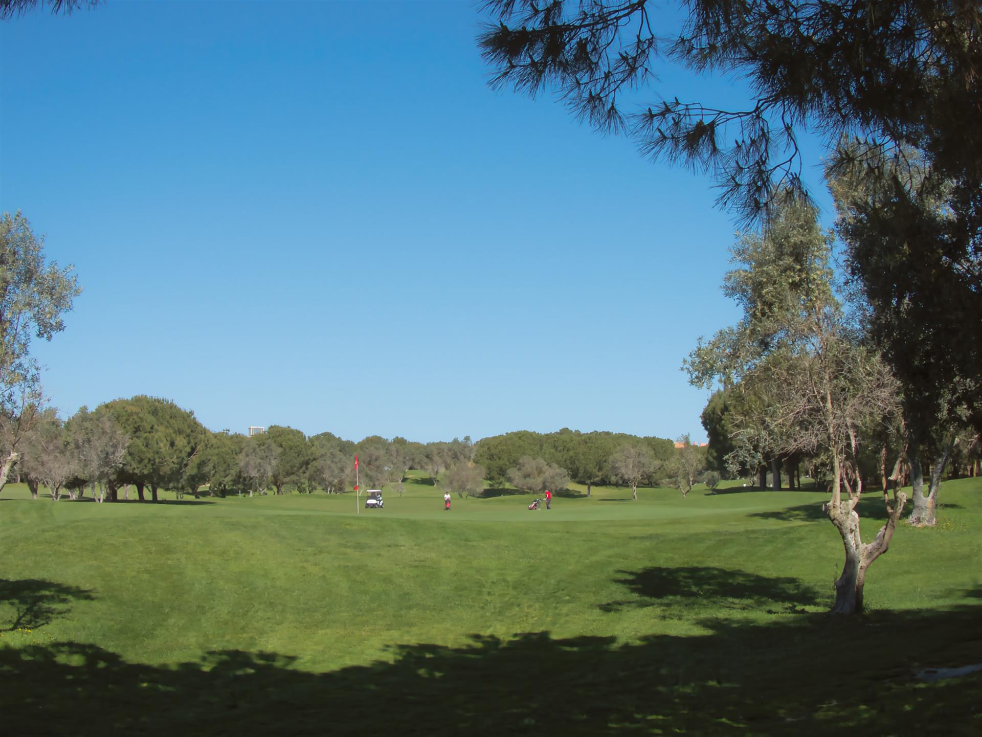 Appartement T2 avec piscine près  des golfs Millenium  et Dom Pedro Victoria