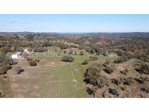 6,64Ha Melides | With House
