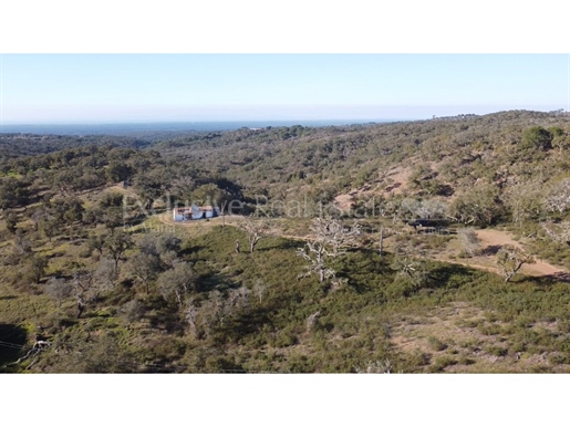9,25Ha Melides | With House Ruin