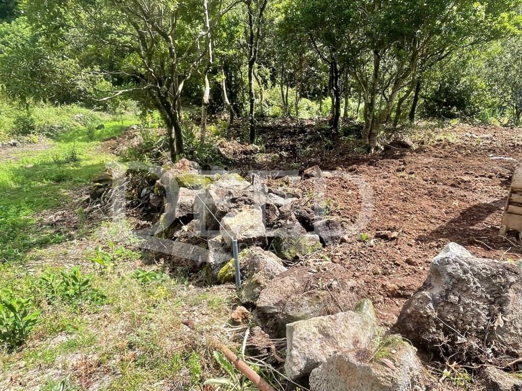 Land in Chão da Ribeira, Seixal, Porto Moniz
