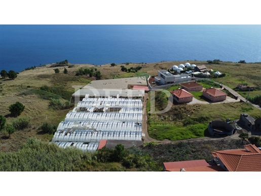 Grundstück Verkauf Calheta (Madeira)