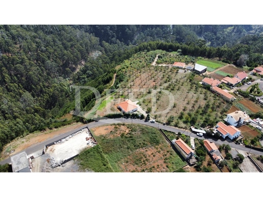 Terrain Acheter Calheta (Madeira)