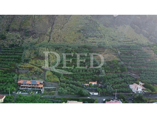 Grundstück Verkauf Calheta (Madeira)