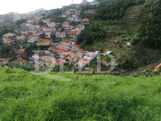 Land Sale Funchal