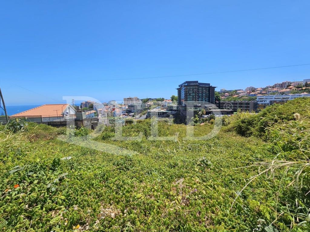 Terreno Venta Funchal
