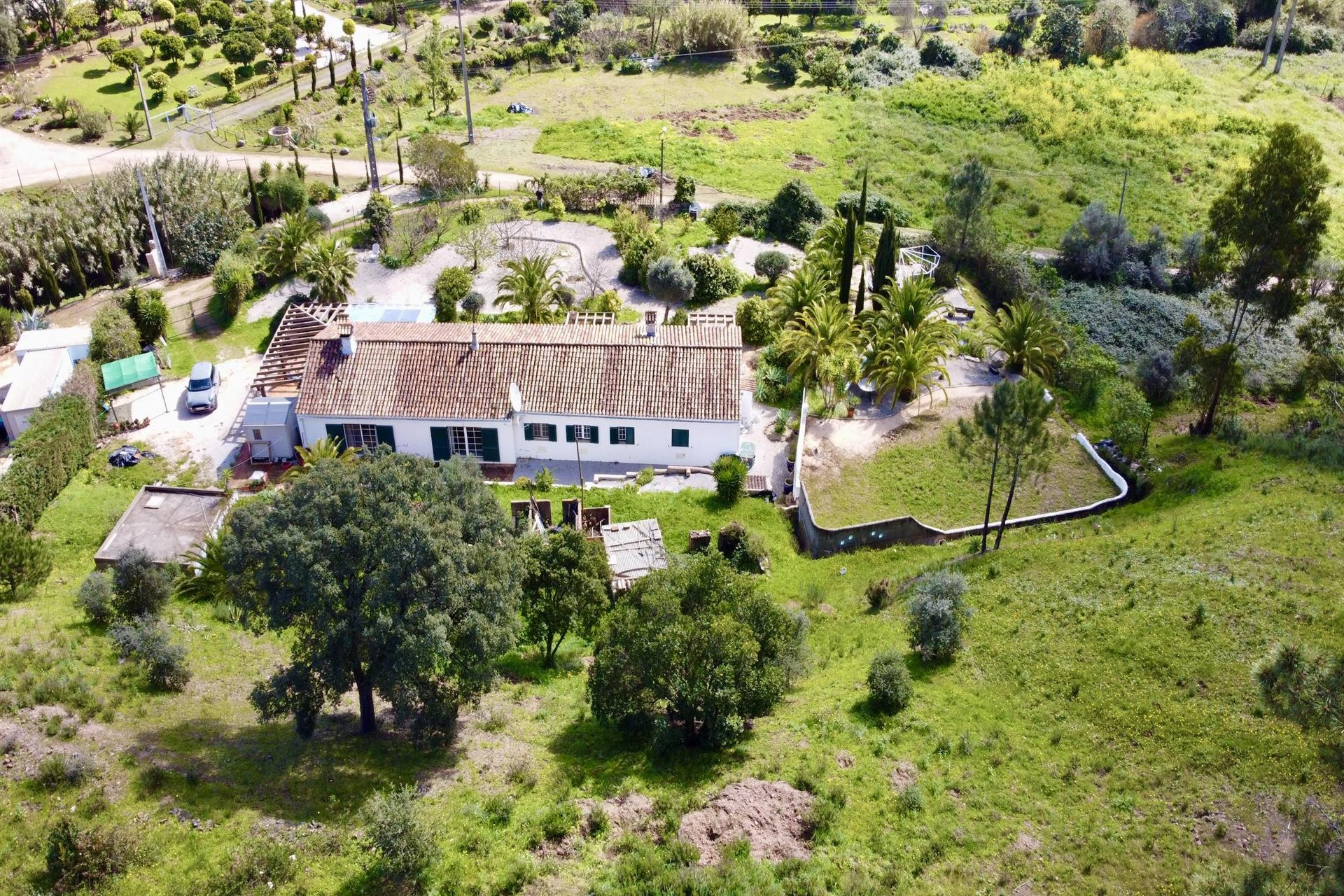 Casa de Campo: Charmosa e tranquila Moradia T4 em 12.000 m2 de Terreno