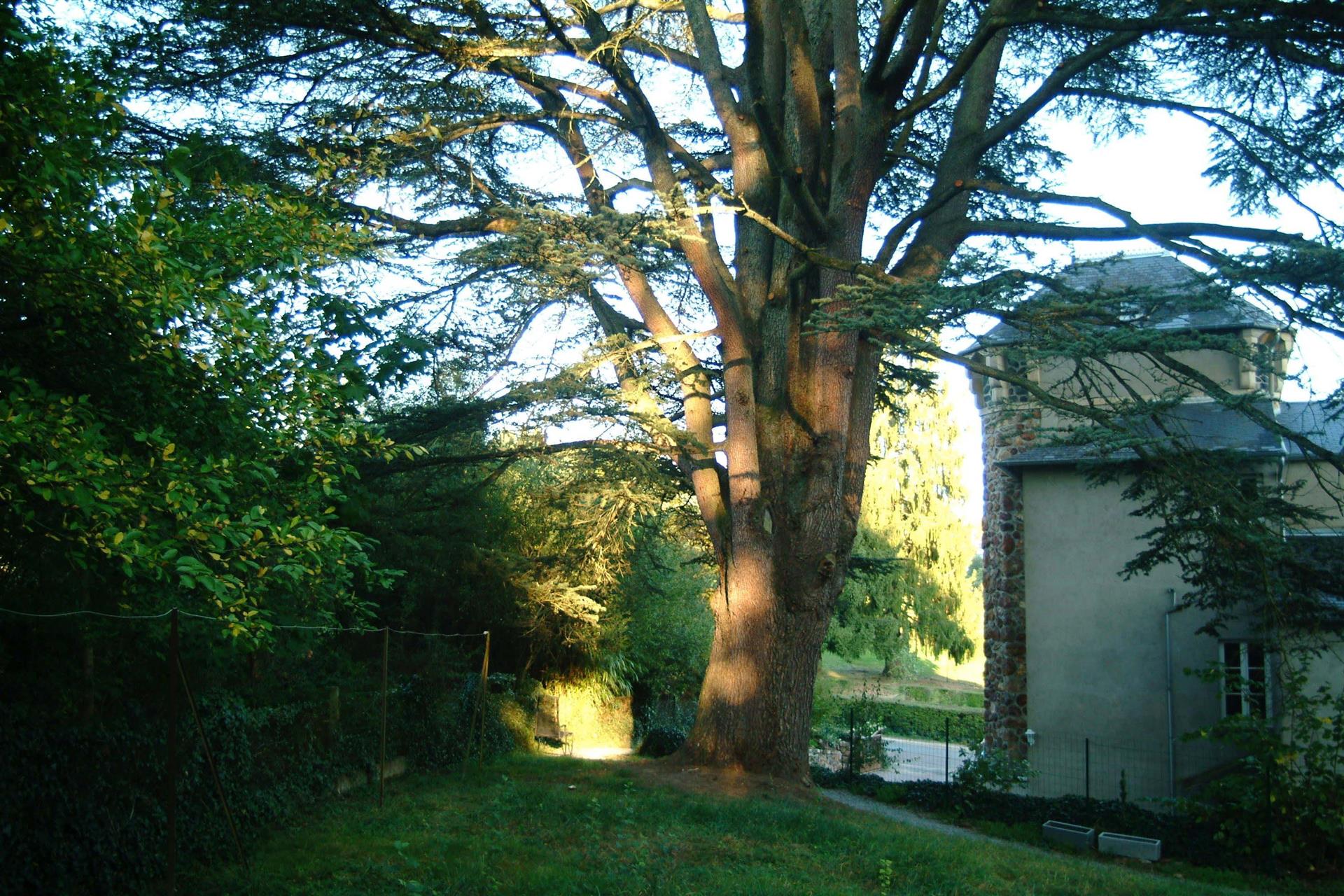 Nineteenth century castle