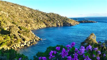 Eine unglaubliche Villa am Meer auf der Klippe der Insel Giglio