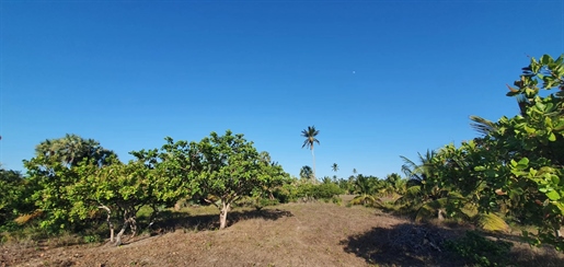 Pre001 - Laatste grote stuk grond met uitzicht op zee op het strand van Preá