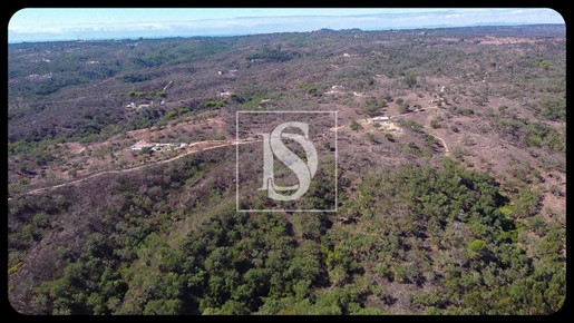 Land with 57750 m2 in São Francisco da Serra