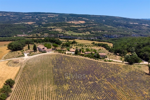 Bonnieux, in the heart of the Luberon regional park, an except