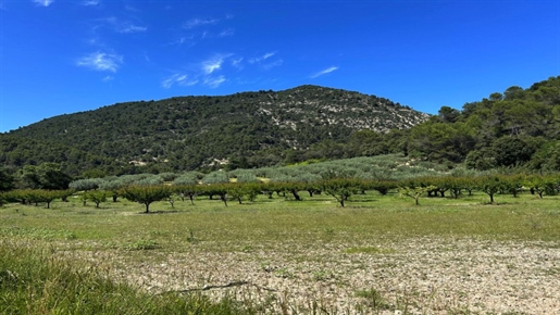 Nyons - Ancienne métairie du XVIIe, vue panoramique, au coeur de 22 hectares d'oliviers, vergers, fo