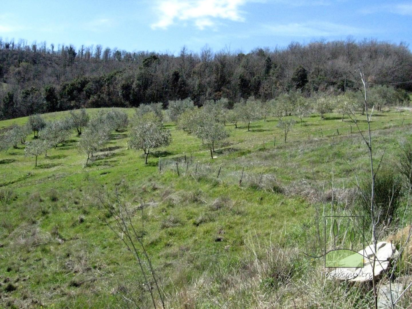 Country house for sale near Pomarance, surrounded by over 49 hectares land