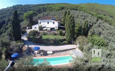  Former farmhouse with land, pool and panoramic views, for sale near Calci and Vicopisano-Tuscany