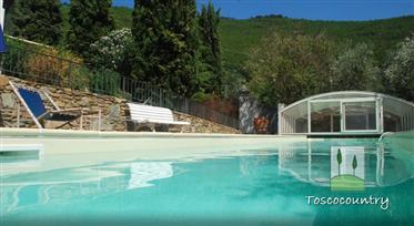  Ancienne ferme avec terrain, piscine et vue panoramique, à vendre près de Calci et Vicopisano-Tosc