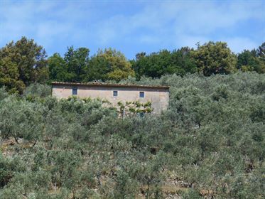 Country house for sale in Calci, to be restored, panoramic position - Real Estate Agency