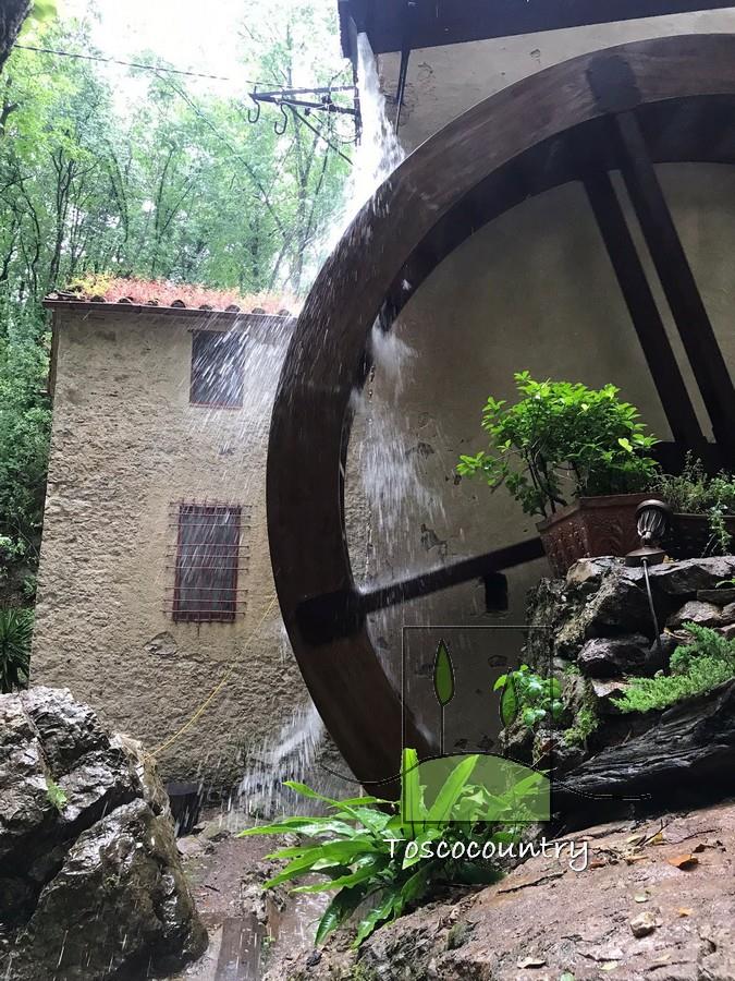 Molino de piedra a la vista con parque en venta en la Toscana, entre Lucca y la costa, perfectament