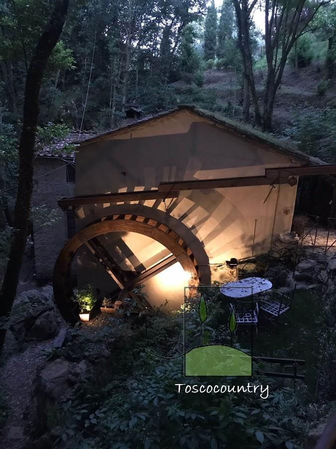Molino de piedra a la vista con parque en venta en la Toscana, entre Lucca y la costa, perfectament