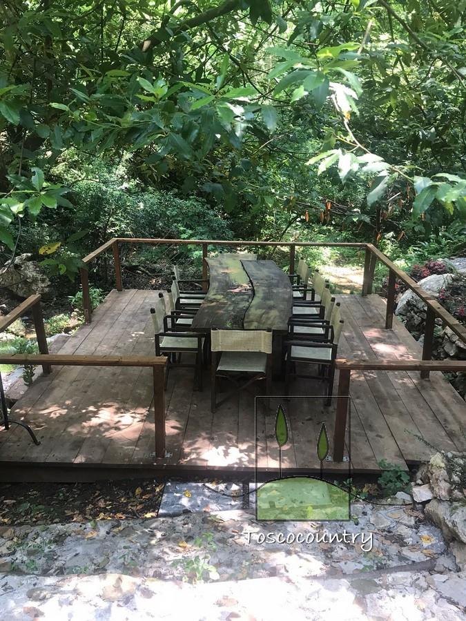 Molino de piedra a la vista con parque en venta en la Toscana, entre Lucca y la costa, perfectament