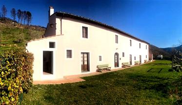 Spacious farmhouse in panoramic position, for sale near Calci, Tuscany