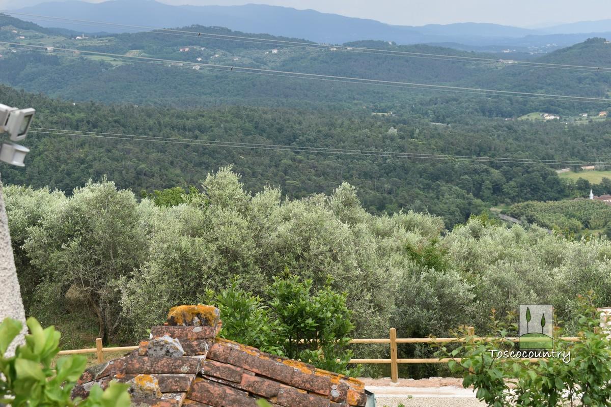 Country house portion for sale near Lucca, with garden and views