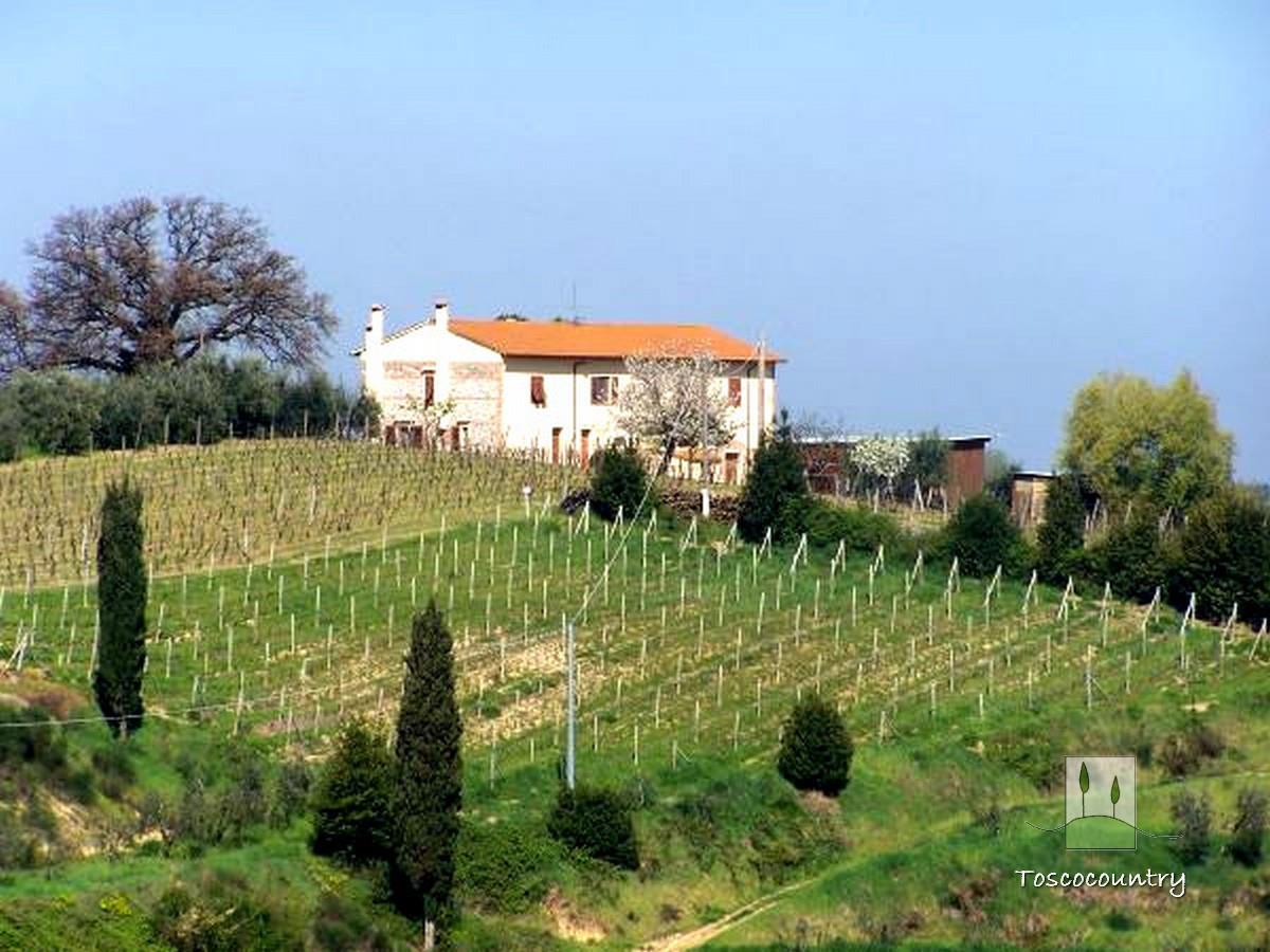 Country house divided into 2 units for sale near Terricciola, Tuscany, with 1 ha land