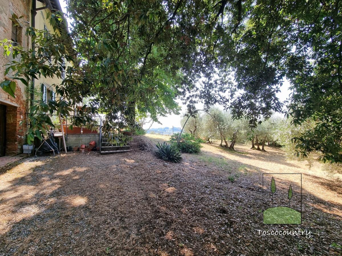 Landhaus zu verkaufen in der Toskana, in der Nähe von Terricciola, mit Panoramablick und Olivenhain