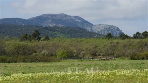 Aix en Provence landskab - En 170 hektar jagtejendom