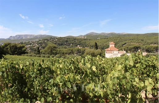 Cassis - Domaine viticole d'exception