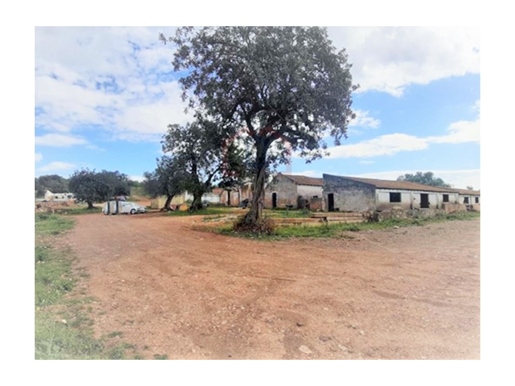 Land with stables, for sale in Algarve