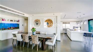 Penthouse in park Tzameret with spectacular panoramic view-Sotheby's Israel Real estate