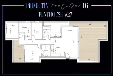 Brand New Exclusive Penthouse 27/16